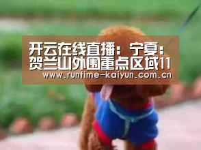 开云在线直播:宁夏:贺兰山外围重点区域11家煤矿已全部关停(图2) 开元棋牌app